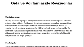 Örnek makale çevirisi
