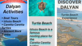 Travel Trifold Brochure Design – Dalyan Turtle Beach