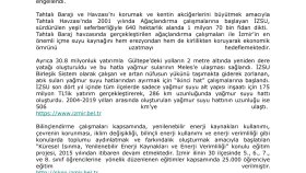 İş örneğim