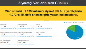 %100 Garantili Profesyonel seo çalışması