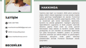 en şık CV