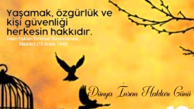 yeni yıl