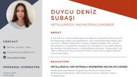 İngilizce CV