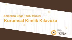 Müze için kurumsal kimlik çalışmam