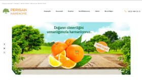 sizin için ekonomik web siteleri oluşturabilirim