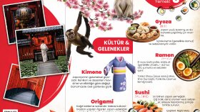 broşür tasarımı