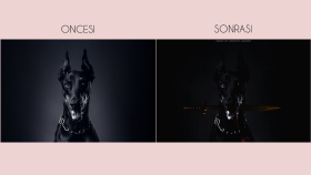 Dark Dog