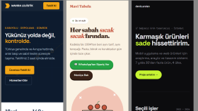 Üç Örnek Sitenin Telefon Görünümü (Mobil Uyumlu)