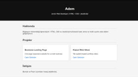 Basic Responsive Website