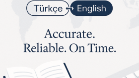 profesyonel bir şekilde çeviri yaparım
