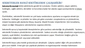 Hizmet Sektörü Makale Örneği