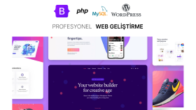 anahtar teslim websitesi yapabilirim