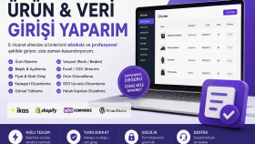 ürün ve e ticaret veri girişlerinizi yaparım