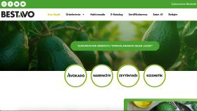 profesyonel bireysel ve kurumsal web sitenizi tasarlarım