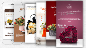 profesyonel sosyal medya tasarımları yaparım