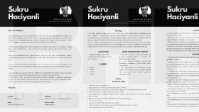 CV Portfolyosu