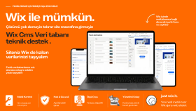 wix veritabanı dinamik sayfa ile cms kurarım