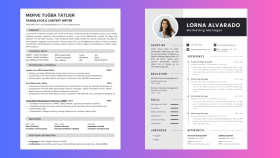 Cv Çalışması