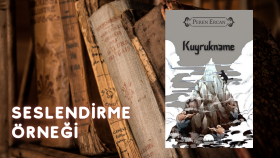 Sesli Kitap - Kuyrukname | 2