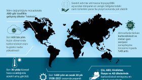 istediğiniz şekilde infografik afiş tasarımları yapabilirim