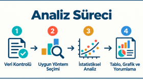 verinize profesyonel düzeyde istatistiksel analiz yaparım