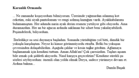 çok sayıda yaratıcı metin yazabilirim