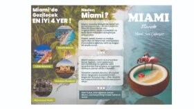 Miami Broşür