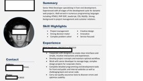 CV TERCÜMESİ