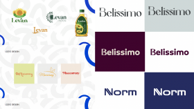 modern ve profesyonel logo tasarımı yaparım