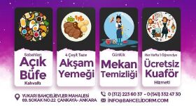 Instagram Gönderileri