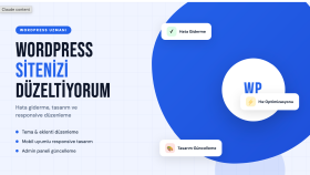  WordPress sitenizi düzenler ve güncellerim