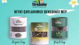 Tirebolu42Çay Post Tasarımı
