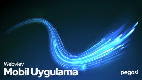 web sitenizi mobil uygulama (webview) haline getirebilirim