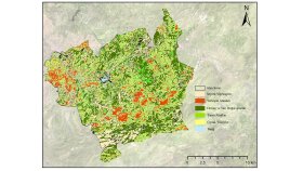 ArcMap analizleri,2D ve 3D peyzaj tasarım,modelleme yaparım