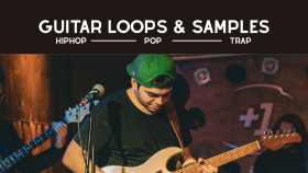 beatleriniz için gitar sample ve loop kaydederim