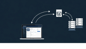 wordpress web sitenizi güvenle yedekleme işlemini yaparım
