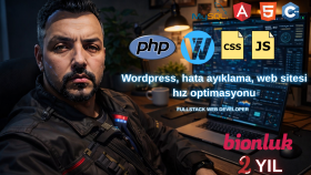 Wordpress sitenizi hızlandırıp hataları giderebilirim