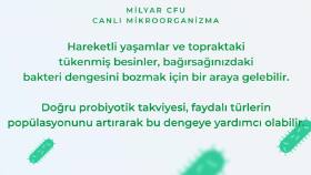 Ürün Tanıtım
