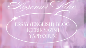 Essay (english)-Blog-İçerik yazımı yapıyorum