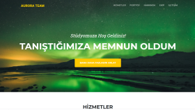 Web Sitesi Tasarımı