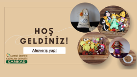 Çameli Belediyesi- Website Tasarımı
