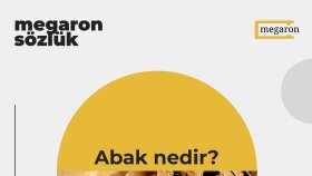 Sosyal Medya Tasarımları