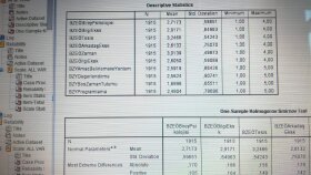 SPSS ANALİZ