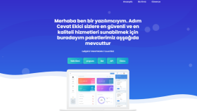 sıfırdan profesyonel web sitesi tasarlıyorum