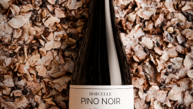 PINO NOIR Şarap 