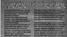 GRİLER VE PERDELER