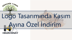 işletmeler için global profesyonel logo tasarlıyorum