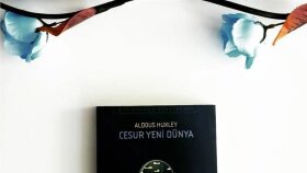 istenen yazı ve içeriği yazabilirim