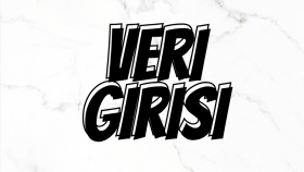 profesyonel veri girişi ve düzenleme yapabilirim