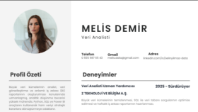 Akademik ve Resmi Başvurular İçin Klasik CV Tasarımı